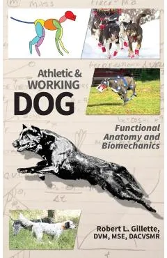 Athletic and Working Dog: Functional Anatomy and Biomechanics