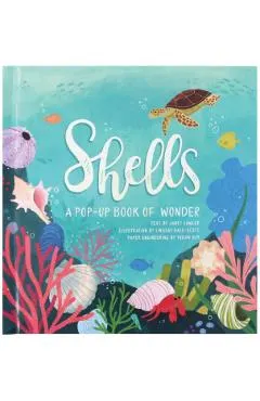 Shells