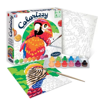 Set creativ - Colorizzy - Papagali