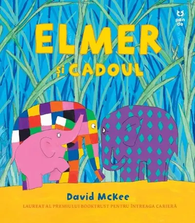 Elmer și cadoul - Paperback - David McKee