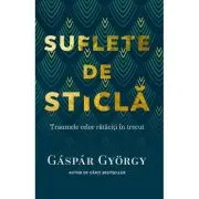 Suflete de sticla. Traumele celor rataciti in trecut