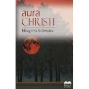 Noaptea strainului