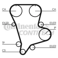 Curea de distributie CONTITECH CT994