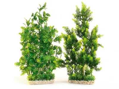 Sydeco Planta Aquaplant Giant 50 Cm 706