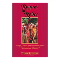 Rogues in Robes