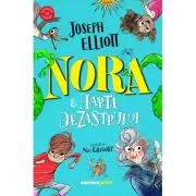 Nora si harta dezastrului