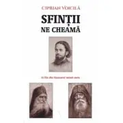 Sfintii ne cheama. 15 file din Sinaxarul inimii mele