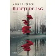 Bureti de fag