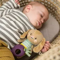 Jucarie zornaitoare Taf Toys Iepurasul Jenny