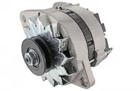 Alternator (12v, 65a) Abarth Ritmo; Alfa Romeo 155, 33; Ferrari 208 308, 412 I, 512 Bb, F40, Mondial; Fiat 131, 132, Argenta, Coupe, Croma, Regata, Ritmo, Tempra, Tipo 1.4-4.9 Intre 1974-1999