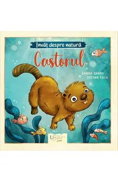 Invat despre natura. Castorul