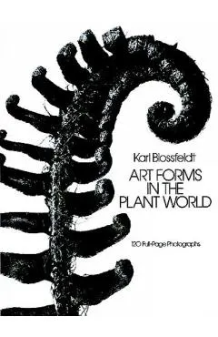 Art Forms in the Plant World