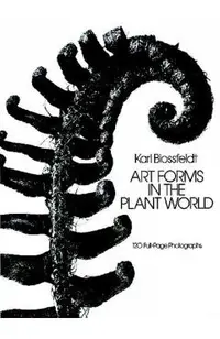 Art Forms in the Plant World