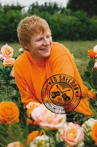 Maxi poster GB eye Music: Ed Sheeran - Rose Field