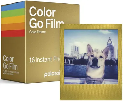 Film Polaroid – Go Film, ramă aurie, pachet dublu, 16 bucăți