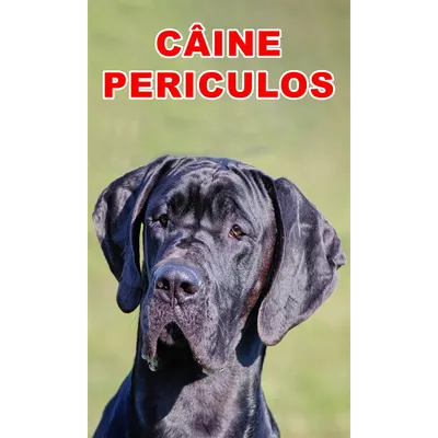 Indicator caine periculos Dog German