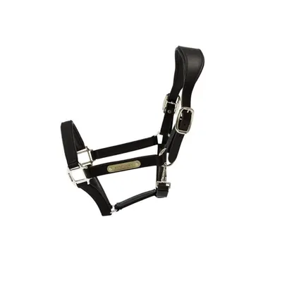 Kentucky Nylon Anatomic Halter Zwart