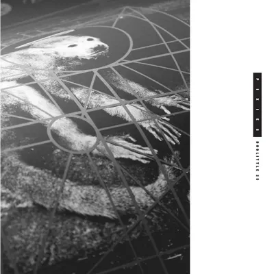Doolittle 25: B-Sides, Peel Sessions, Demos Plus Original Album