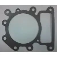 Garnitura Chiuloasa Briggs&stratton 15km-19km Ohv Avs