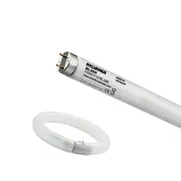 Special T12 40W 103V BL368 G13 SYL