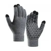 Manusi De Iarna Tactile Iwarm ST0018, Marime 23cm, Gri