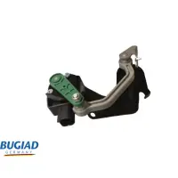 Bugiad Bxs19647