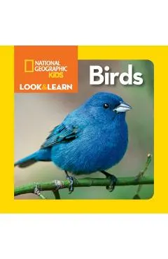 Look and Learn: Birds