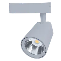 Spot Sky Tl5030 Cob 30w 220-240v 6400k 36° Gri