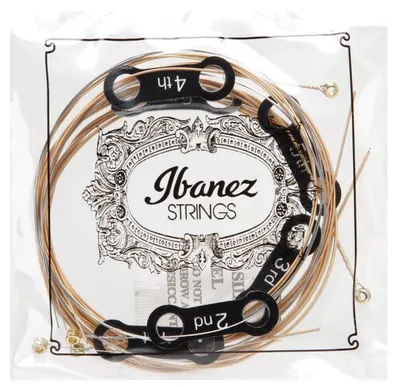 Corzi de chitară acustică Ibanez - IACSP61C, 10-47, bronz