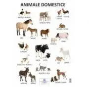 Plansa Animale domestice