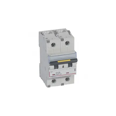 Siguranta automata 10000 - 16 kA - 2P - 230/400 V~ - 125 A - D curba