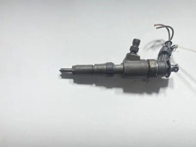 Injector 0445110252 Citroen C3 (2002-2009) 1.4 hdi 8HZ