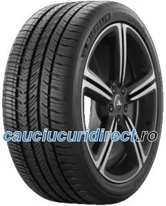 Michelin Pilot Sport A/S 4 ( 295/35 R20 105V XL EV Suitable, MO1 B )