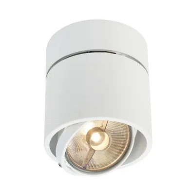 Corp iluminat TAVAN, KARDAMOD GU10 Plafonul Luminita, alb capac singur, QPAR111, rotund, alb, max. 75W