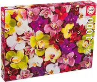 Puzzle Educa din 1000 de piese - Orhidee