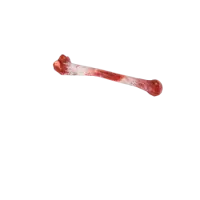 All for paws Jucarie Bone Appetite Shinbone pentru Caini