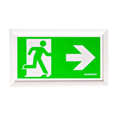 Corp iluminat siguranţă KD wireless LED-uri de 230V AC /3h
