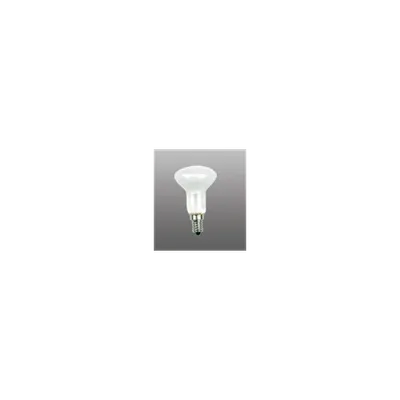Bec incandescent mat , reflector 230V R-50F 60W