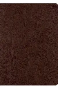 ESV Single Column Journaling Bible, Large Print (Mocha) -