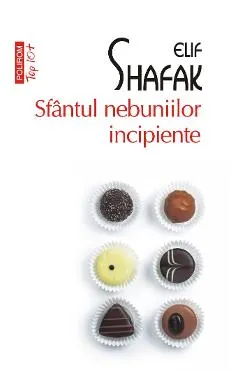 eBook Sfantul nebuniilor incipiente