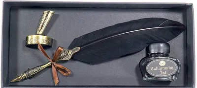 Set caligrafie CS, stilou cu până de rată și penițe