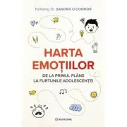 Harta emotiilor. De la primul plans la furtunile adolescentei