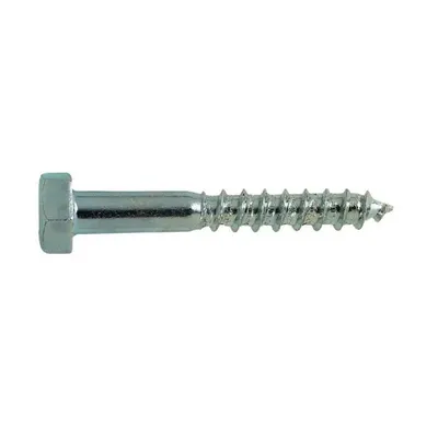 Holsurub Cap Hexagonal DIN 571 Otel Zincat 6 x 35