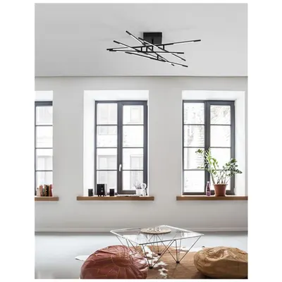 Plafoniera RACCIO Negru Metal & Acrylic LED 48 Wat 230 Volt 3360Lm 3000K IP20
