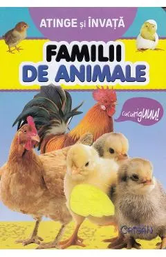 Atinge si invata. Familii de animale
