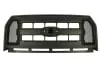 Grila radiator negru potrivit FORD USA F-150, F-250 SUPER DUTY, F-350 SUPER DUTY 2.7-6.7D 2014-2017