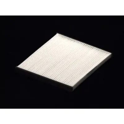 Filtru, aer habitaclu JC PREMIUM B42002PR