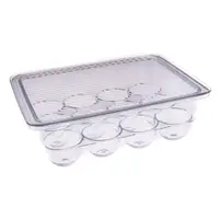 Organizator de frigider pentru ouă din plastic 23x17,5 cm – Casa De Engel