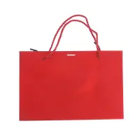 Punga de cadou eleganta rosie