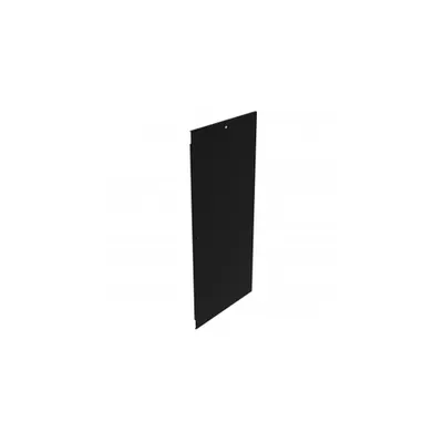 Side panel pentru Linkeo Data Center cabinet 42U - 1000mm